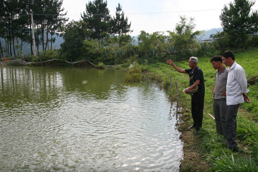 Lai Châu